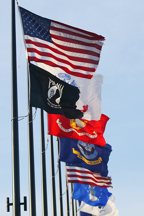 Military flags in a row